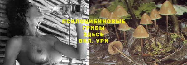 ALPHA-PVP Аркадак