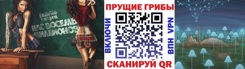 нарко площадка формула  Балашов  Галлюциногенные грибы прущие грибы  даркнет сайт 